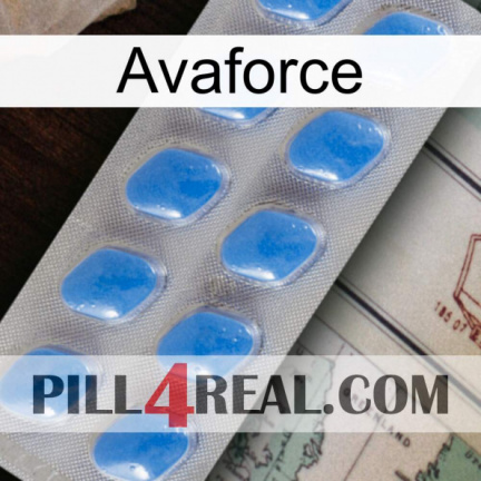 Avaforce 22